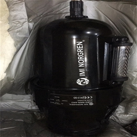 NORGREN诺冠气缸RA/802050/M/100/UR功能