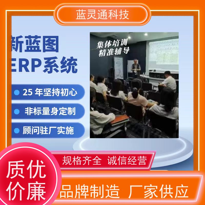 蓝灵通ERP 财务管理软件 定制/设计个性化ERP方案 高效落地 一步到位