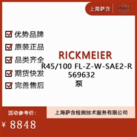 RICKMEIER R45/100FL-Z-W-SAE2-R 569632泵