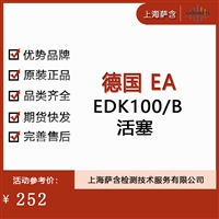 德国 EA EDK100/B活塞