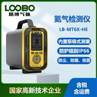 LB-MT6X型手提式氦气分析仪 泵吸式He检测仪