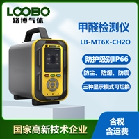 LB-MT6X型手提式甲醛分析仪 泵吸式CH2O检测仪