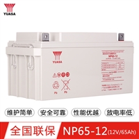 汤浅蓄电池12V65AH NPL65-12机房直流屏 UPS EPS应急照明电瓶