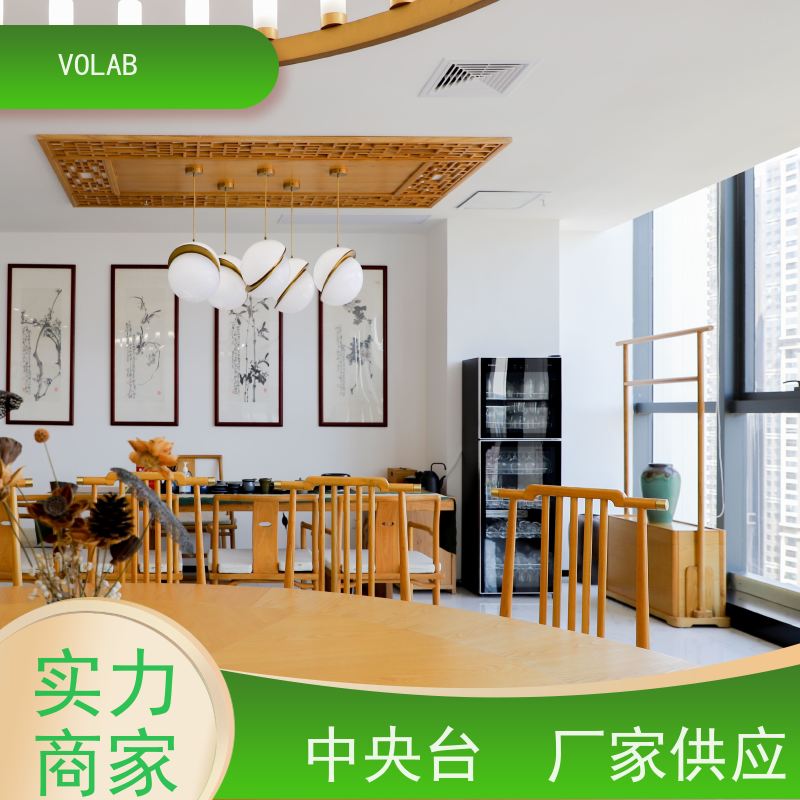 VOLAB 实心理化板 仪器台 配备有电源插座  气体接口等 抗老化性好