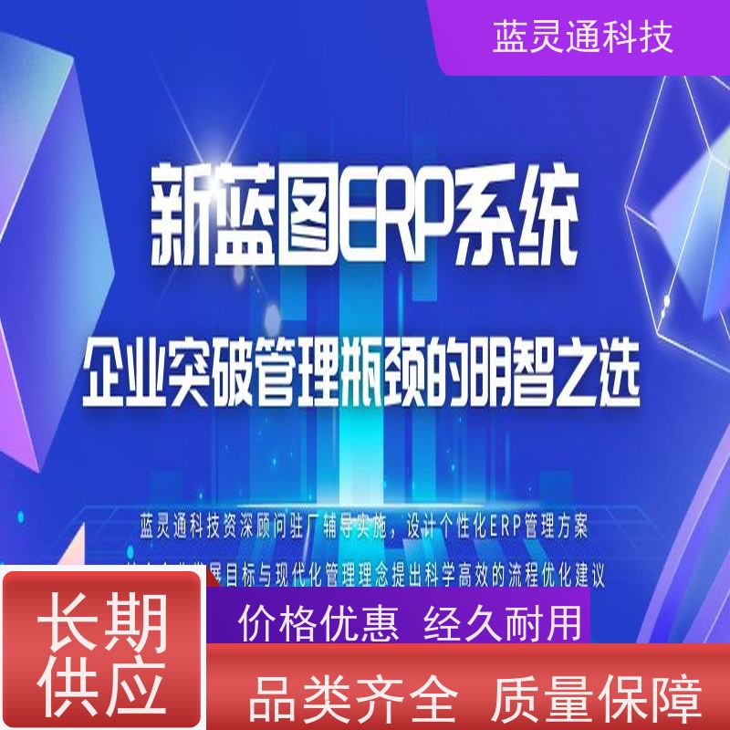 新蓝图ERP系统 汕头 财务管理软件 20年老品牌 高效落地 不走弯路