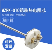 WZPK-010 pt100热电阻传感器K型装配式热电偶测温芯