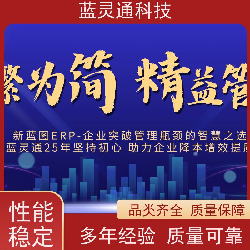 新蓝图ERP 深圳 财务管理软件 20年老品牌 高效落地 不走弯路