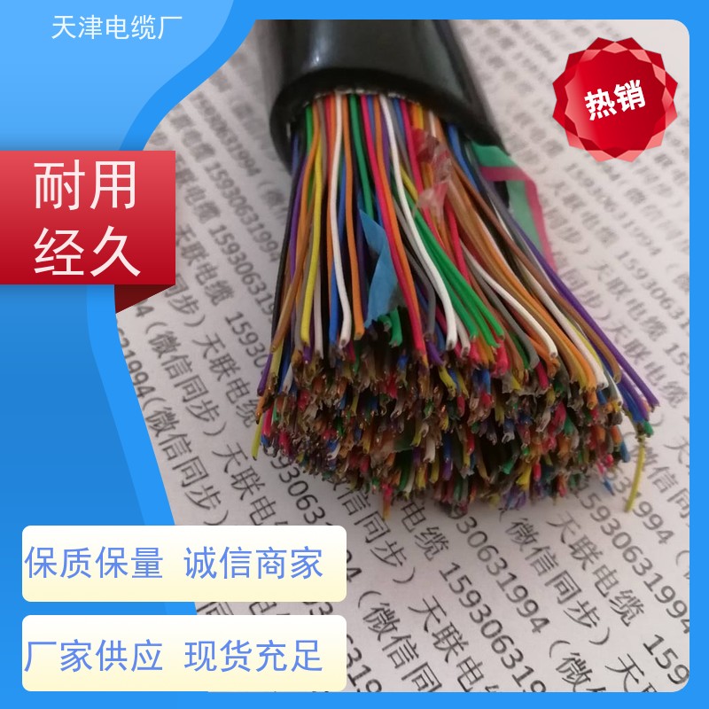 天津 生产 大对数通信电缆 ZR-HPVV 联通信号传输用电缆