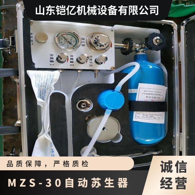 MZS-30便携式自动苏生器 氧气瓶额定工作压力20MPa