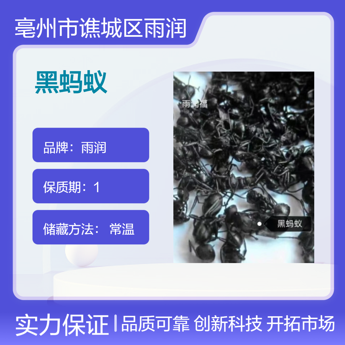 仓库批发原色 黑蚂蚁干货包邮常年供应各种动物 昆虫 直物类药材