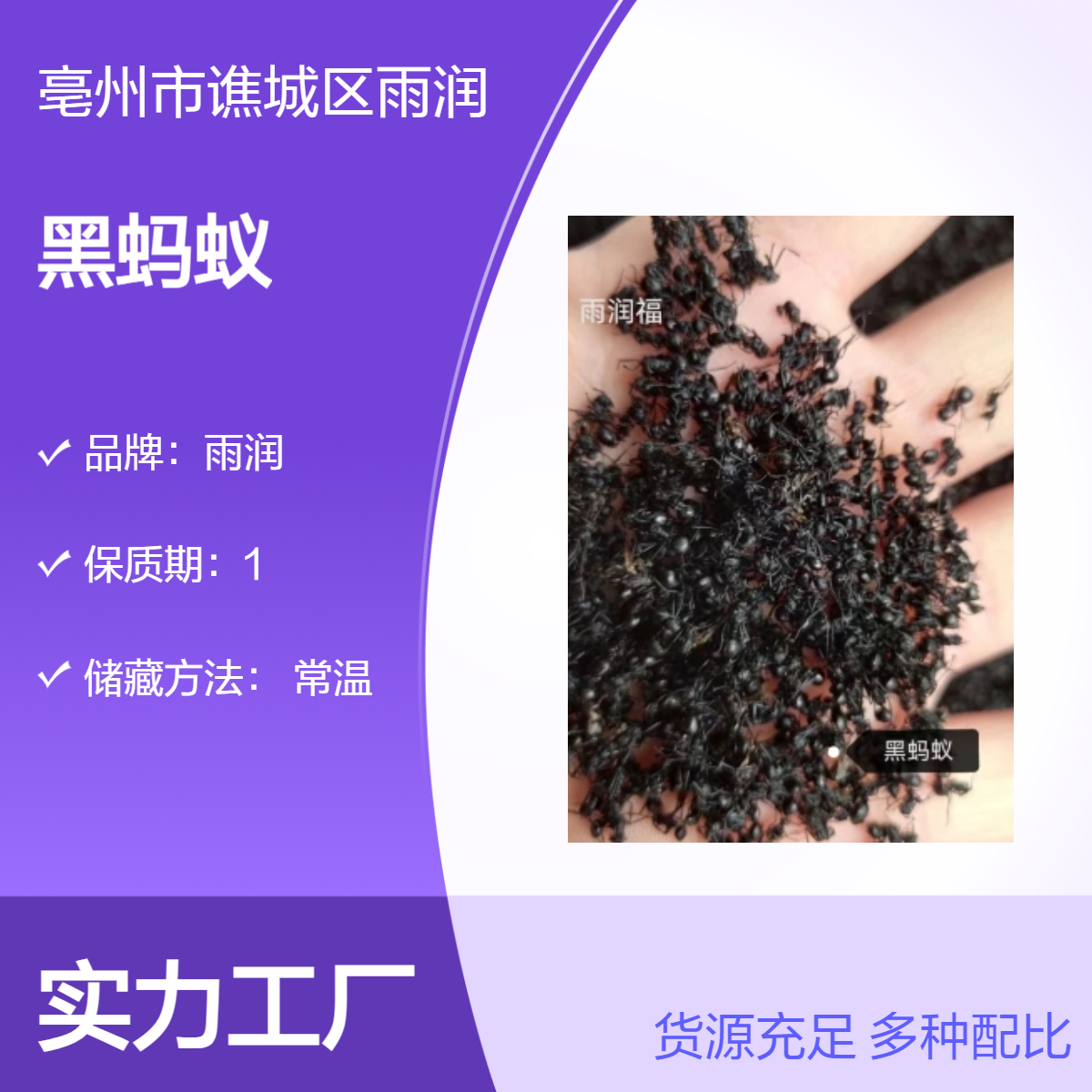 中药材仓库批发 黑蚂蚁 干货包邮 常年供应各种冷背药材