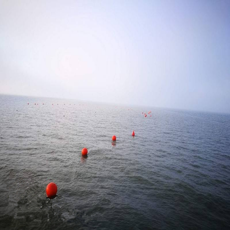 直径30公分水上警示穿心双耳浮球