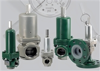 原厂进口FLOW SAFE安全阀