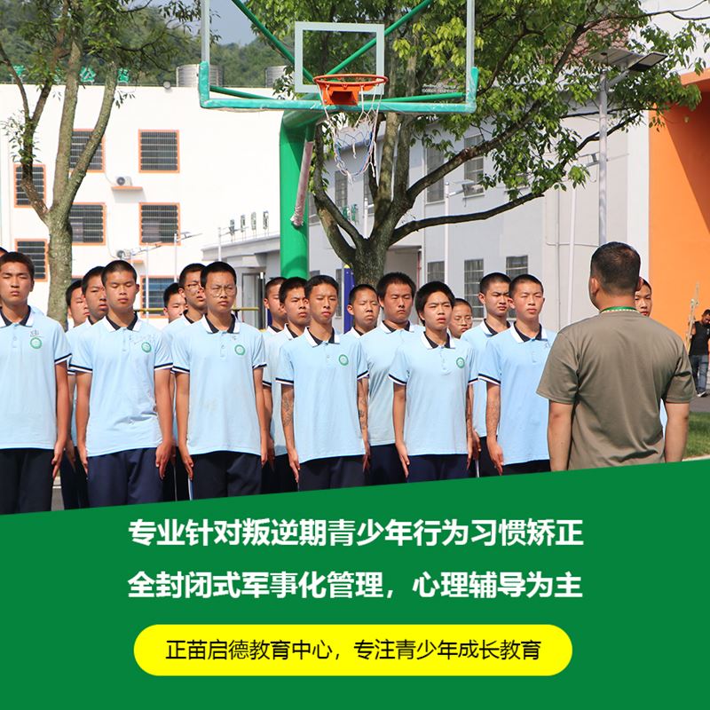 达来 活动隔断100型 可移动屏风 酒店 饭店 宴会厅 学校