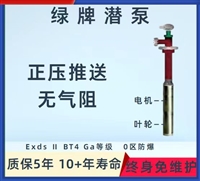 绿牌免维护醇类化工防爆潜泵，大流量免维护液下泵0区防爆化工潜泵