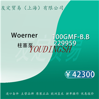 Woerner 100GMF-B.B 229959 柱塞泵