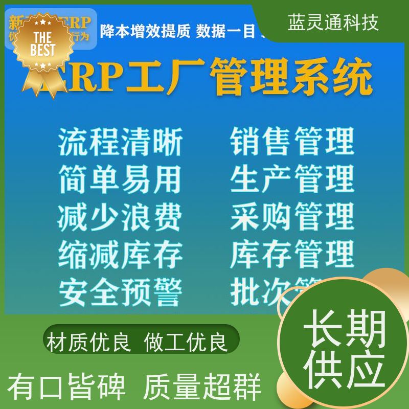 蓝灵通科技 中山 财务管理软件 20年老品牌 高效落地 不走弯路