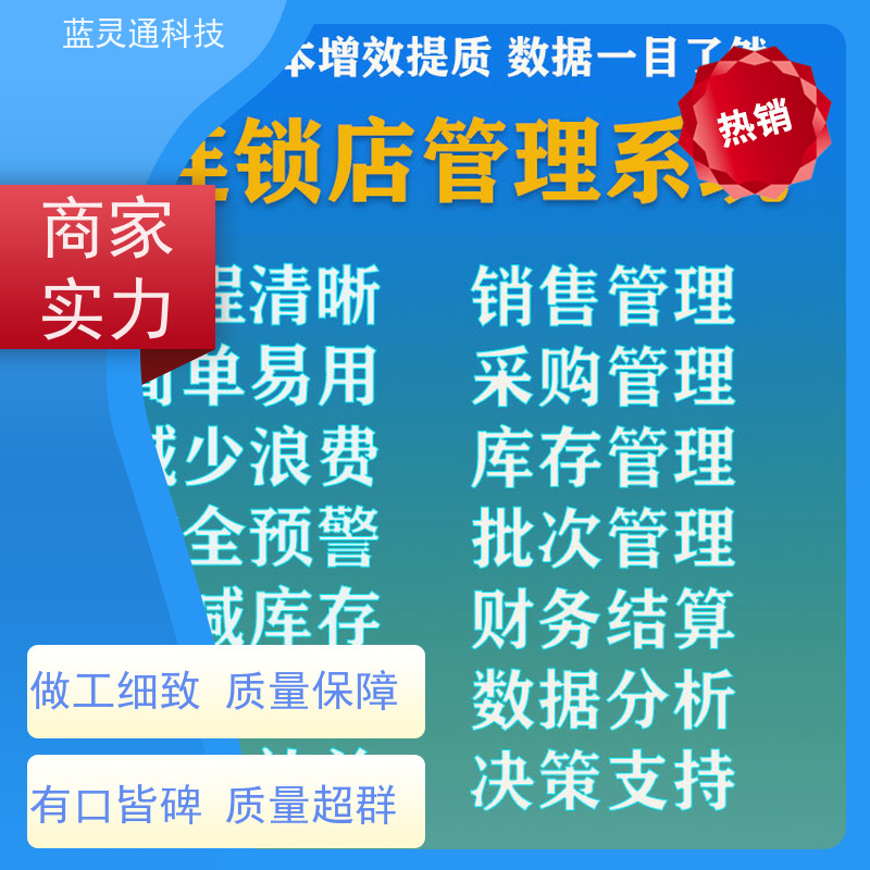 新蓝图ERP系统 中山 财务管理软件 20年老品牌 高效落地 不走弯路