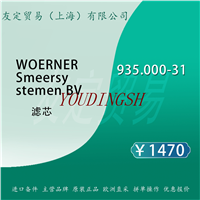 WOERNER Smeersy stemen BV 935.000-31 滤芯