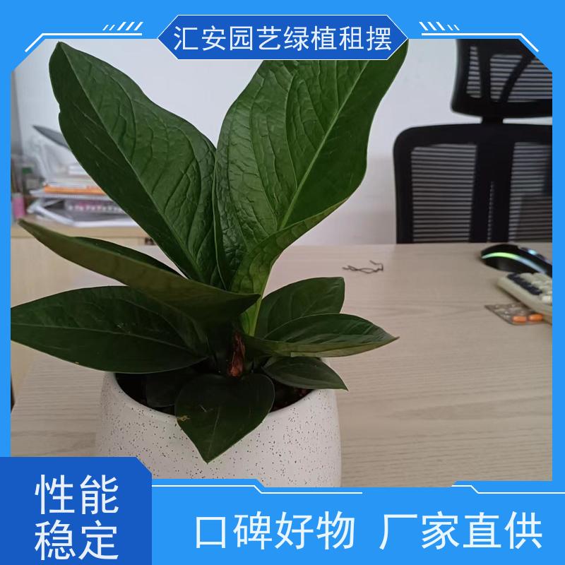 东莞汇安园艺  鲜花绿植出租 性价比高