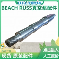 滤油器P-1258电厂真空泵配件BEACH RUSS