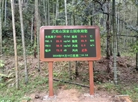 生态修复区植被空气负氧离子自动监测站 公园空气环境智能监测设备