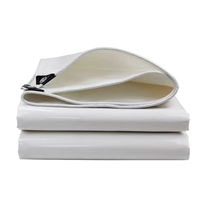 江西崇仁膜结构 停车棚工程包加固防锈