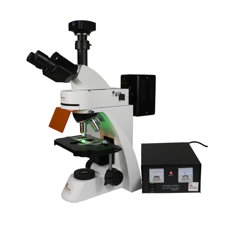 实验/高倍荧光显微镜 荧光病理分析 正置可拍照西尼科仪器 XK-DL004