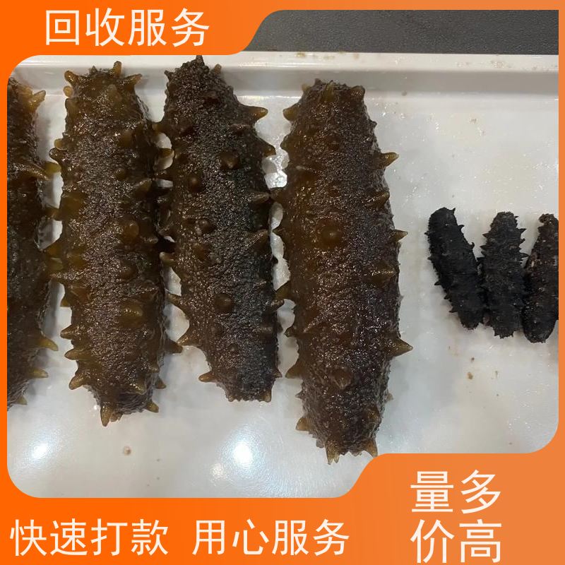 海参高价回收海参礼品回收 现款现结
