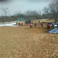 江苏二布一膜400克(100/0.2/100)农业灌溉水池防水土工布