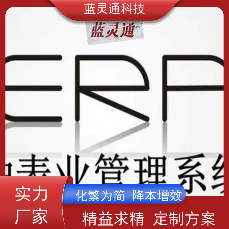 新蓝图ERP 高性价比 首饰企业管理系统软件 广州