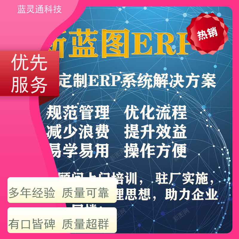 新蓝图ERP 饰品管理系统软件 简洁易学易用 定制开发