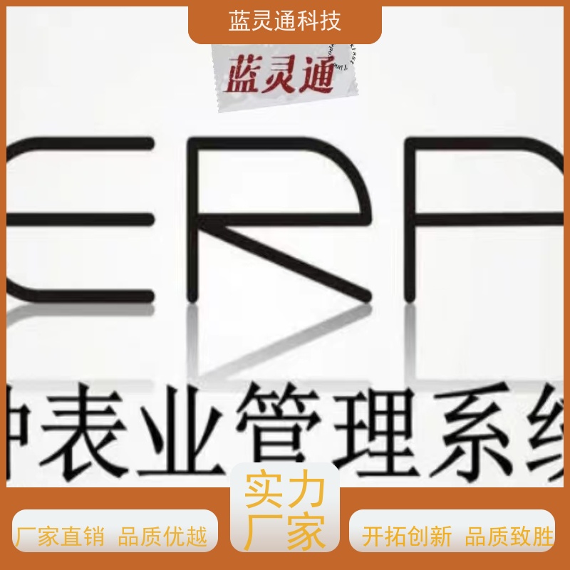 新蓝图ERP 五金制造管理系统软件 企业数字化转型必备 广州