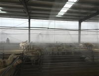 定西饲料厂车辆消毒喷雾设备-屠宰场喷淋消毒系统