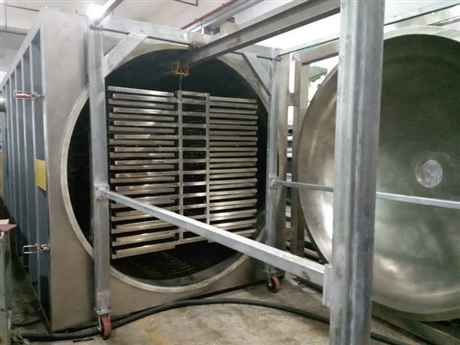 低温真空冻干机30平米  广东真空冷冻干燥机厂家