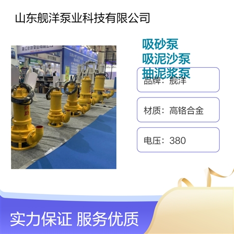 電廠(chǎng)用潛水渣漿泵 耐磨泥沙泵 小型抽沙泵 合金材質(zhì)