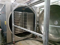 低温真空冻干机30平米  广东真空冷冻干燥机厂家