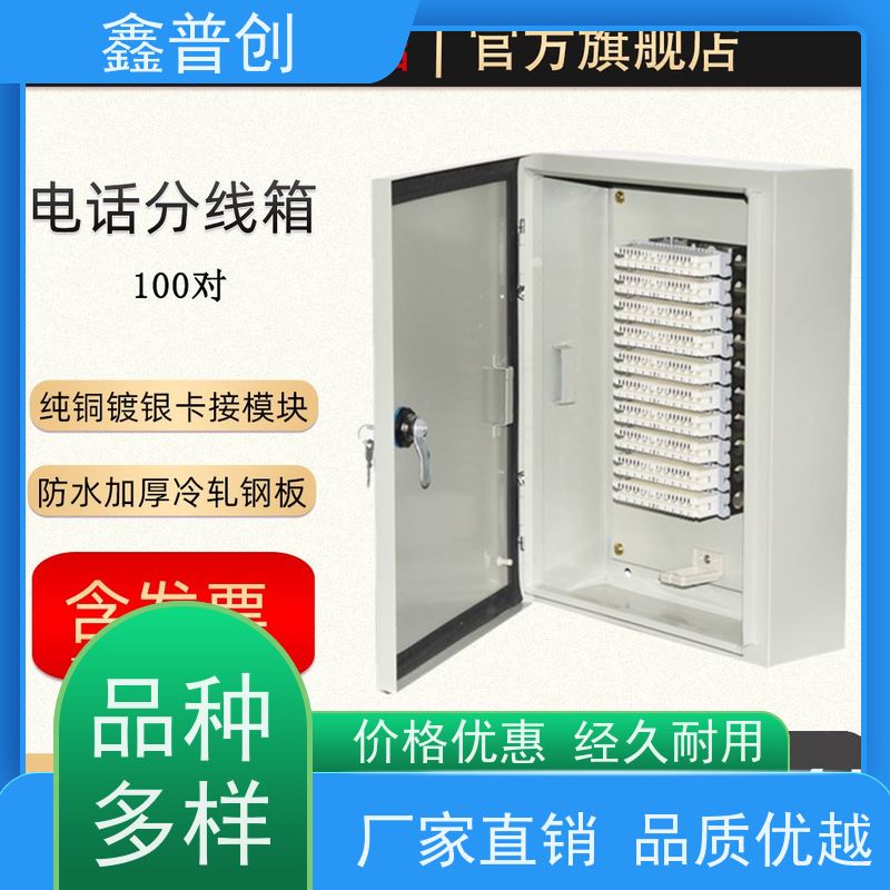 鑫普创 10对电缆交接箱可提供检测报告 详细介绍 货源充足