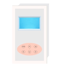 ORPG-2型ORP在线监测仪 工业ORP计氧化还原电位 EmV温度测量