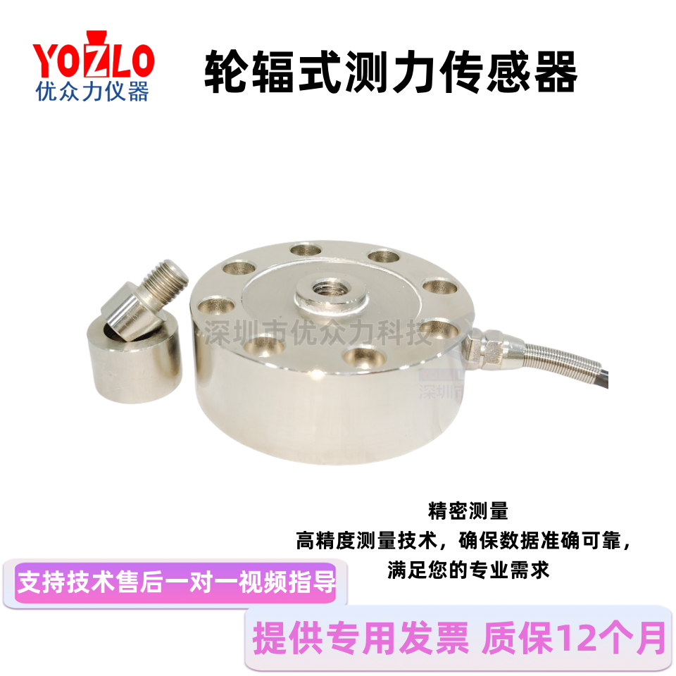 100吨轮辐式推拉力传感器 YL-3型测力仪表曲线生成软件