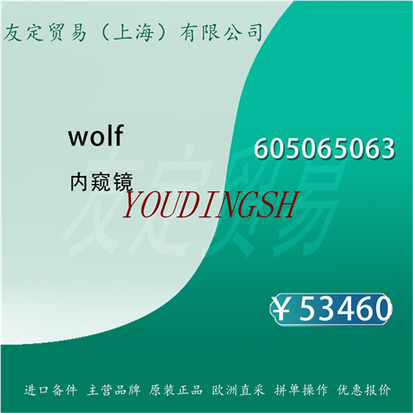 wolf 605065063 内窥镜