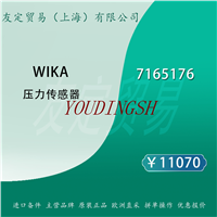 WIKA 7165176 压力传感器