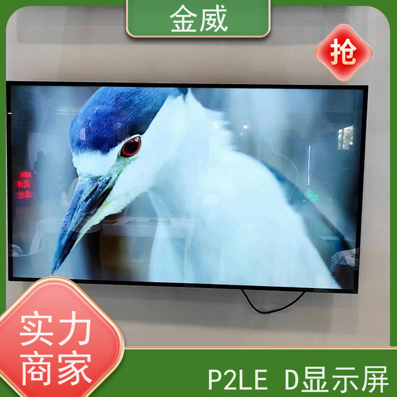 洲明蓝普 上 海 P2 舞台led显示屏 安全环保 防水防尘 响应速度快