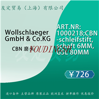 Wollschlaeger GmbH  CoKG ART.NR:1000218;CBN-schleifstift,schaft 6MM,GSL 80MM CBN磨头