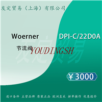 Woerner DPI-C/22D0A 节流阀