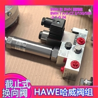 BWH 1 A-1-250-M 5M 5-1-1-G 24德国HAWE哈威电磁阀换向阀