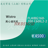 Wistro FLAIBG160-200 C60IL2-2 离心通风机