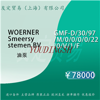 WOERNER Smeersy stemen BV GMF-D3097M0000220V1F 油泵