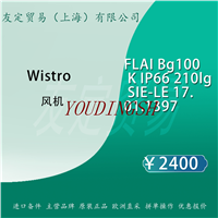 德国Wistro FLA Bg100 K1P662101g SIE-LE17. 01.1397 仪器备件