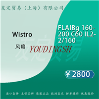 德国Wistro FLA1Bg160- 200C601L2- 2/160 风扇